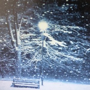 Meet your Posher, Maritza